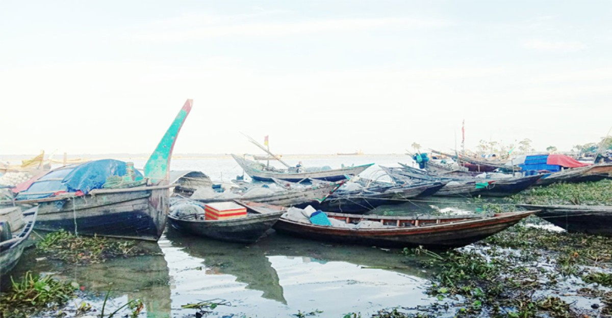 ভরা মৌসুমেও নদীতে মিলছে না কাঙ্ক্ষিত ইলিশ