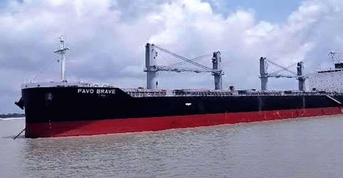 রামপাল তাপ বিদ্যুৎ কেন্দ্রে কয়লা নিয়ে মোংলা বন্দরে ভিড়েছে এম,ভি পানাগিয়া কানালা