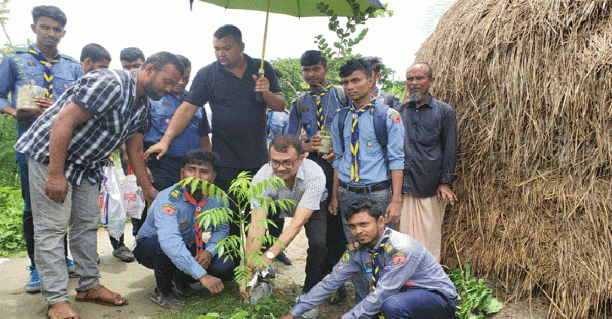 ভোলায় কাচিয়ার মাঝের চরে ৩ হাজার বৃক্ষ রোপণ