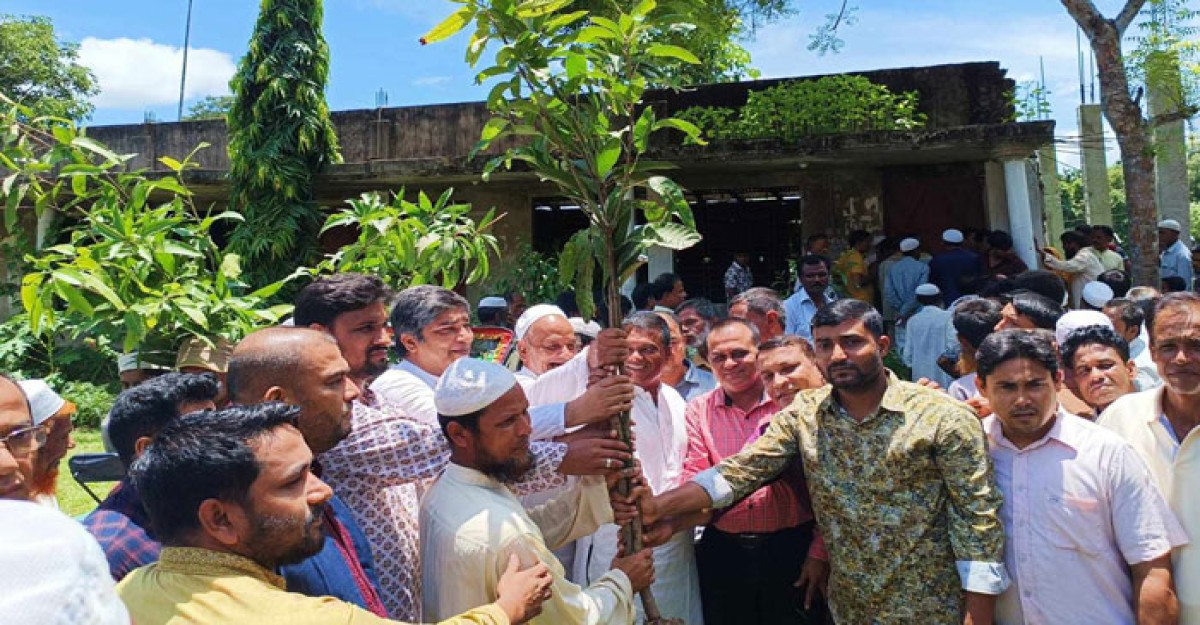 কক্সবাজারের ৩ উপজেলায় রোপন হচ্ছে ৫০ হাজার ফলজ বৃক্ষ