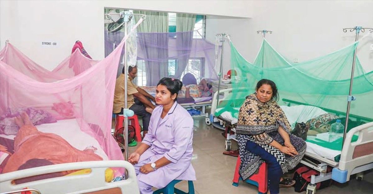 ডেঙ্গুতে একদিনে সর্বোচ্চ ১৯ জনের প্রাণহানি