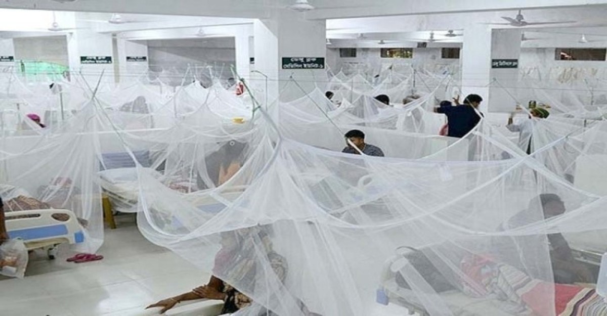 আরও ৮৯৬ জন ডেঙ্গু আক্রান্ত, প্রাণ গেল ১ জনের