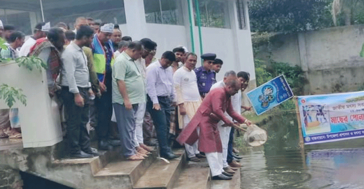 জাতীয় মৎস্য সপ্তাহ বোরহানউদ্দিনে পালিত