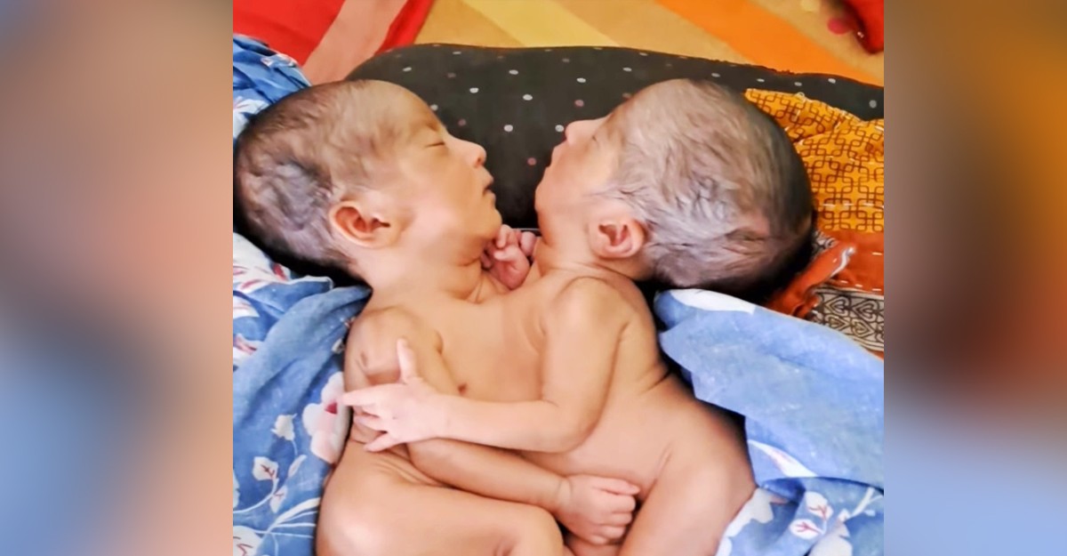 মারা গেছেন ত্রিশালের জোড়া শিশু ফাতেমা ও জান্নাত