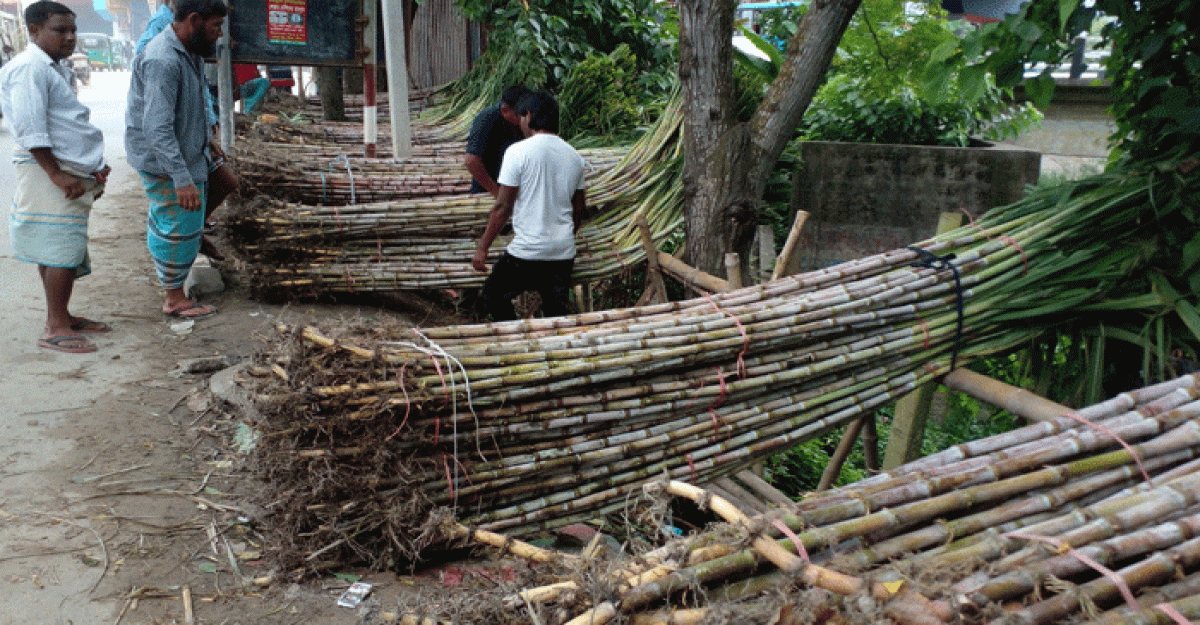 শ্রীনগর ছনবাড়িতে আখের বিকিকিনি জমে উঠেছে