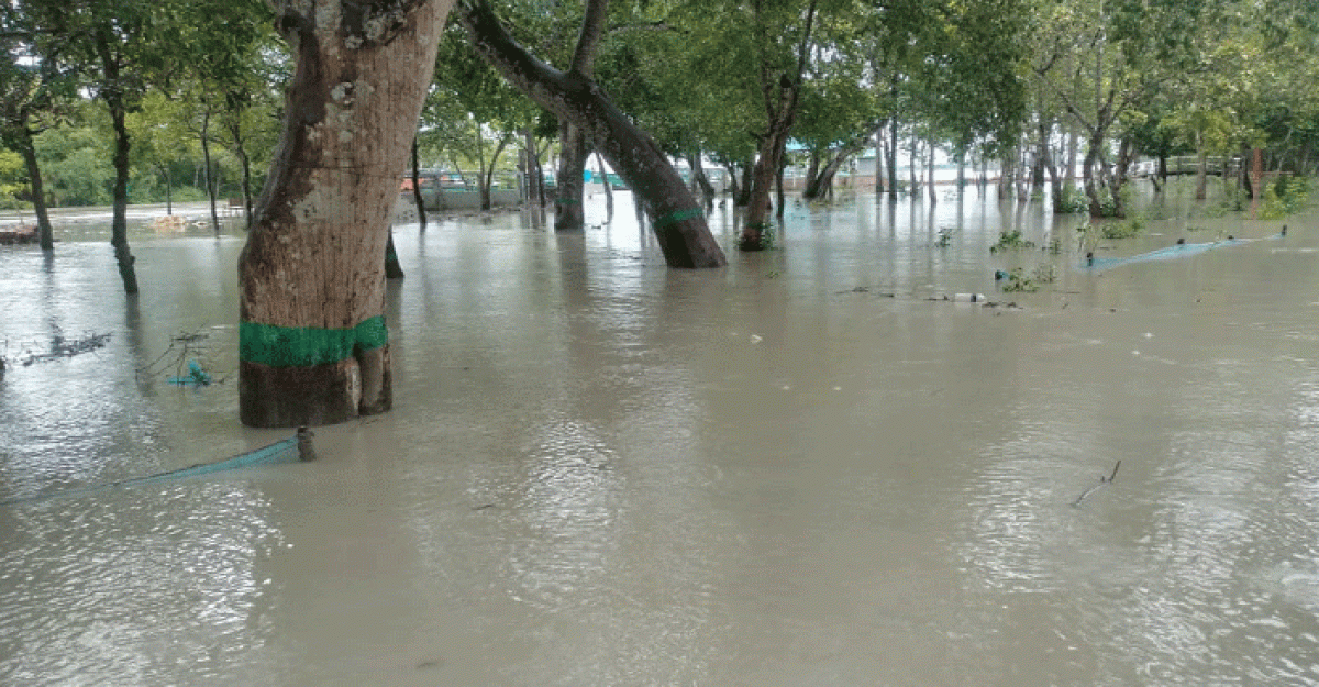 নিম্নচাপ ও জোয়ারের পানিতে দিনে দুইবার ডুবছে সুন্দরবন
