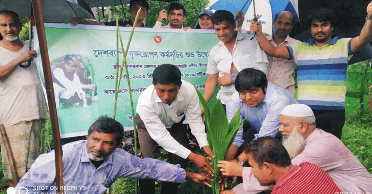 লামায় নদী ভাঙন রোধে পানি উন্নয়ন বোর্ডের বৃক্ষরোপণ কর্মসূচি