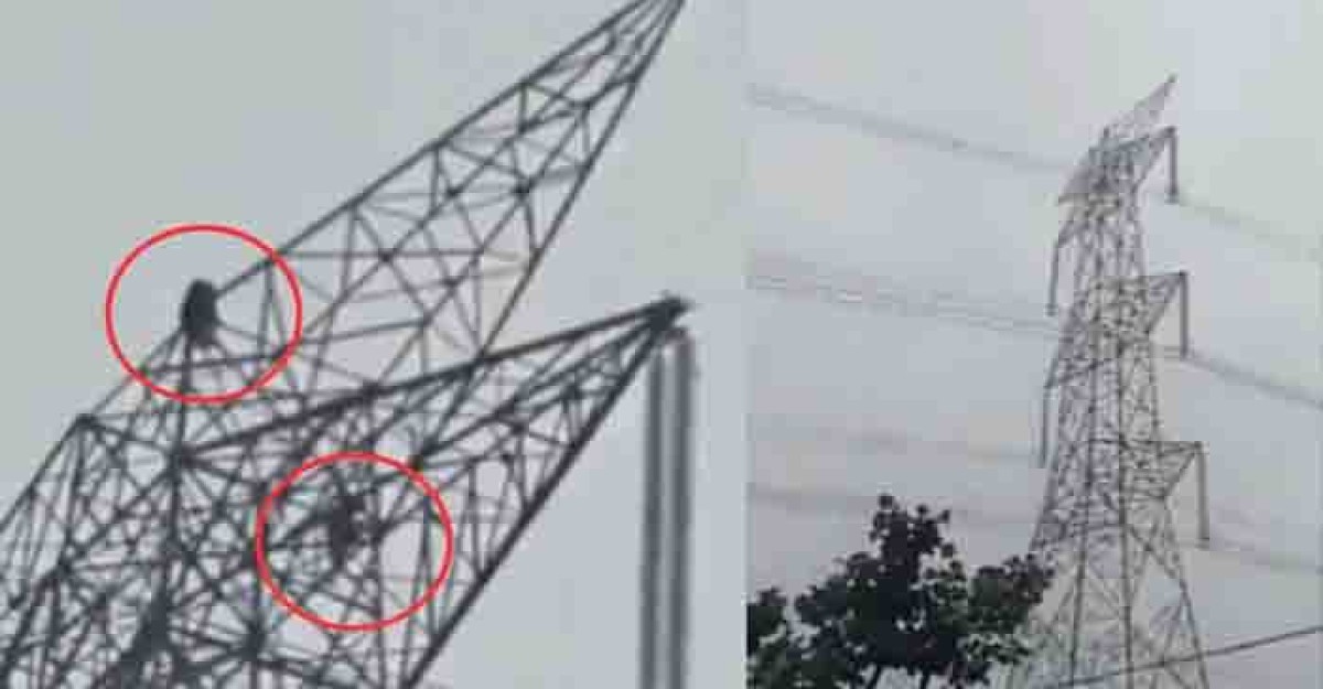 প্রেমিকের সঙ্গে ঝগড়া, ১৫০ ফুট উঁচু টাওয়ারে উঠলেন তরুণী!