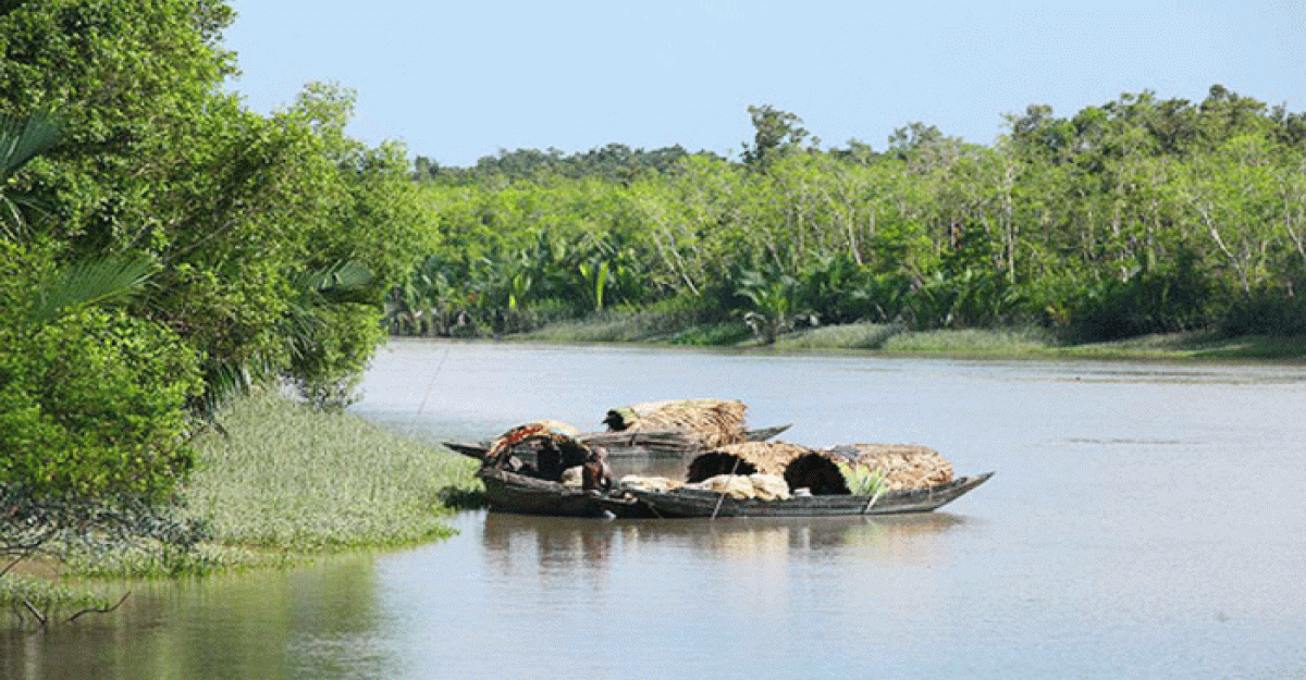সুন্দরবনে অবৈধভাবে প্রবেশ করে মাছ শিকার