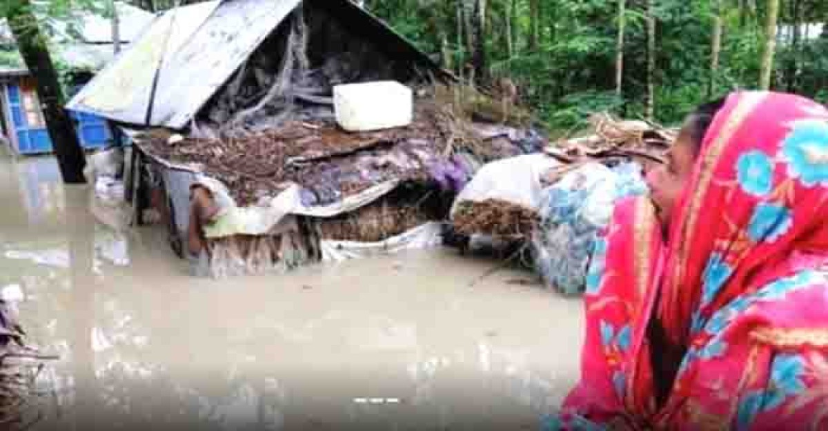 ‘পানি আমাগো গরু-ছাগল হাঁস মুরগী ভাসাইয়া লইয়া যাইতাছে’