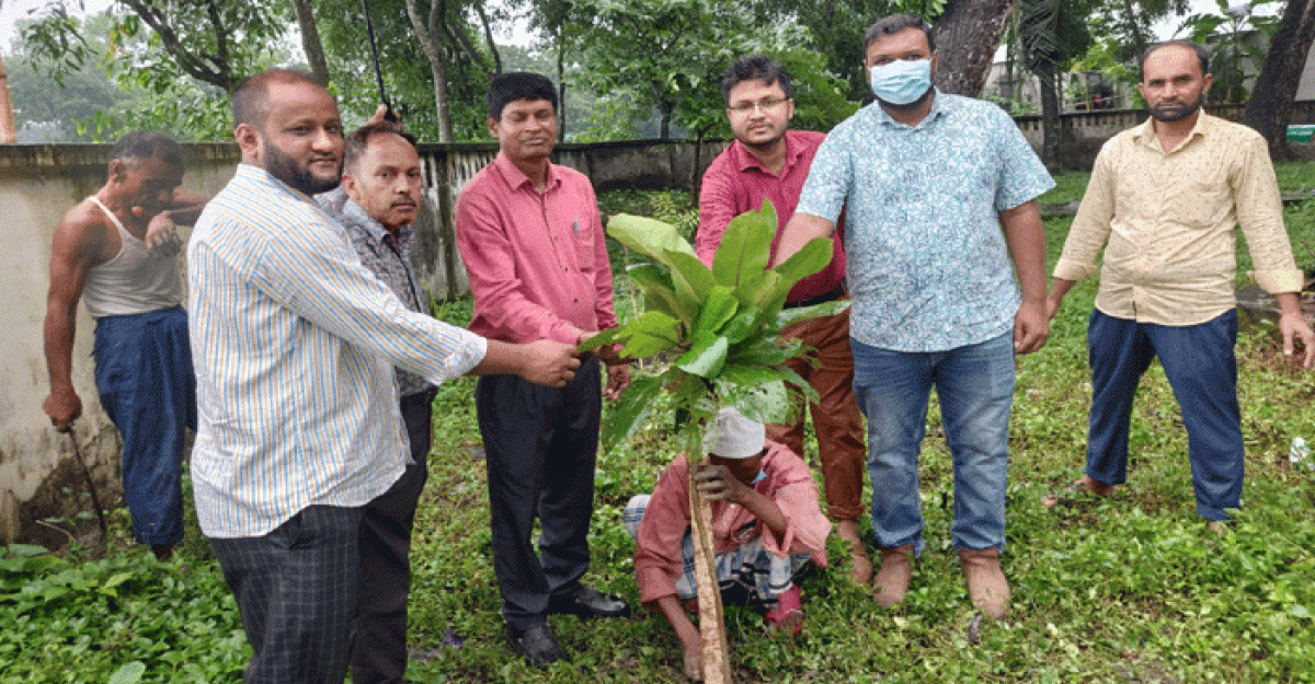 পরিবেশের ভারসাম্য বজায় রাখতে বৃক্ষরোপণের বিকল্প নেই: ডা. বিধান