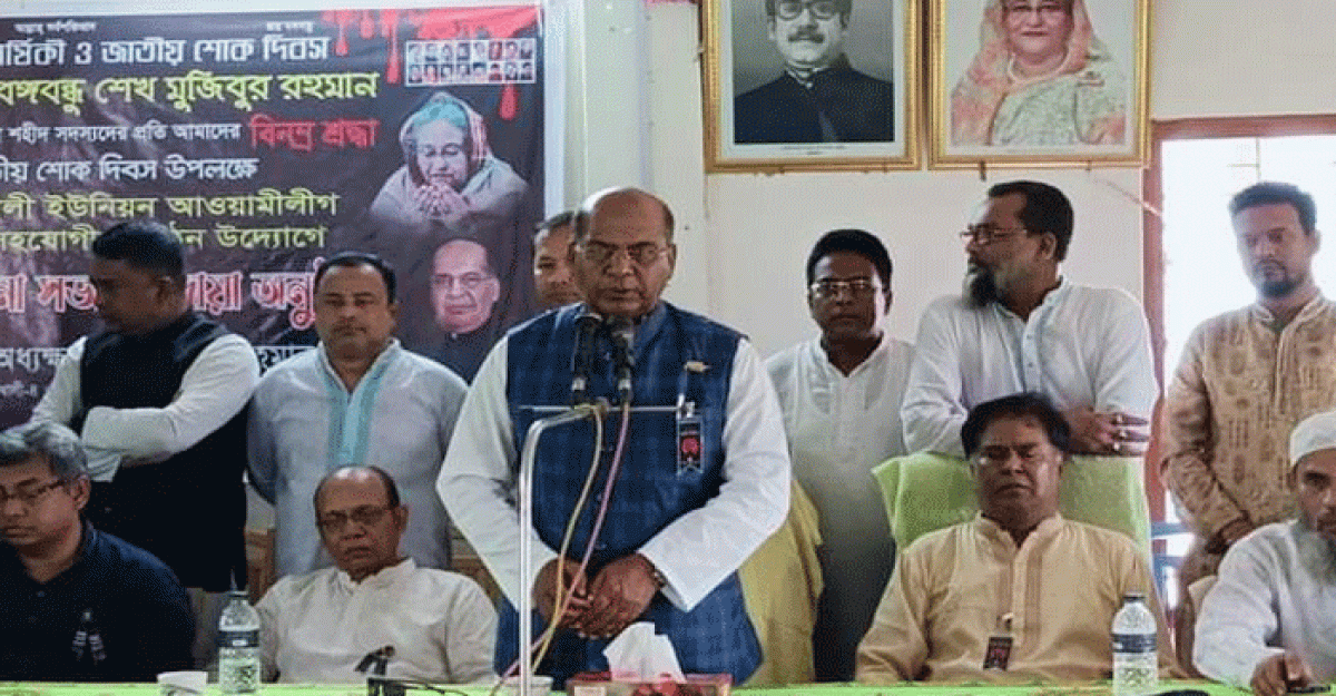 সরকারের উন্নয়নের কথা তুলে ধরলেন এমপি মহিব
