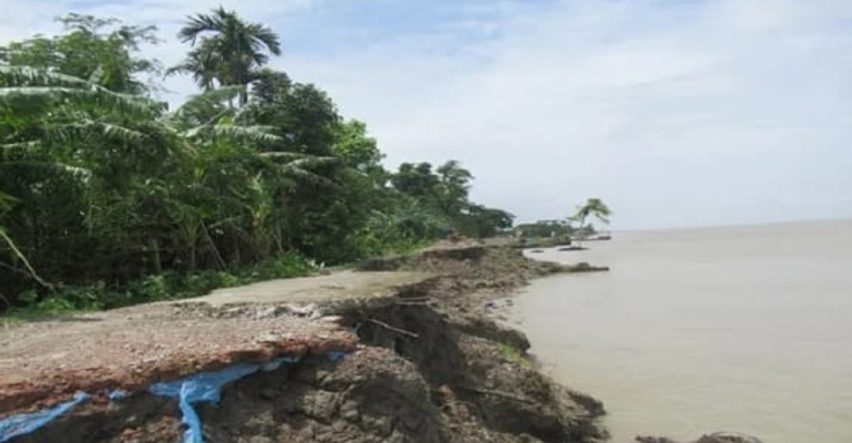 ভোলার রাজাপুরে নদী ভাঙ্গন তীব্র আকার ধারণ করছে