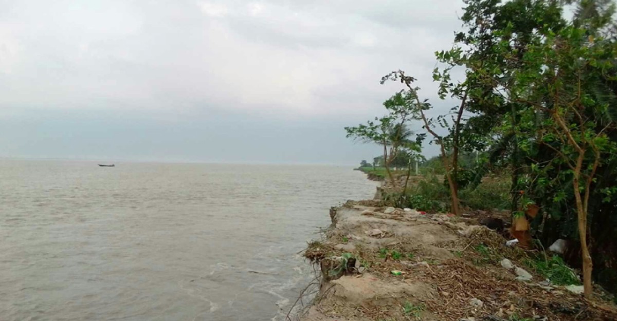 যমুনায় ভয়াবহ ভাঙন ফসলি জমিসহ বসত বাড়ি নদী গর্ভে বিলীন