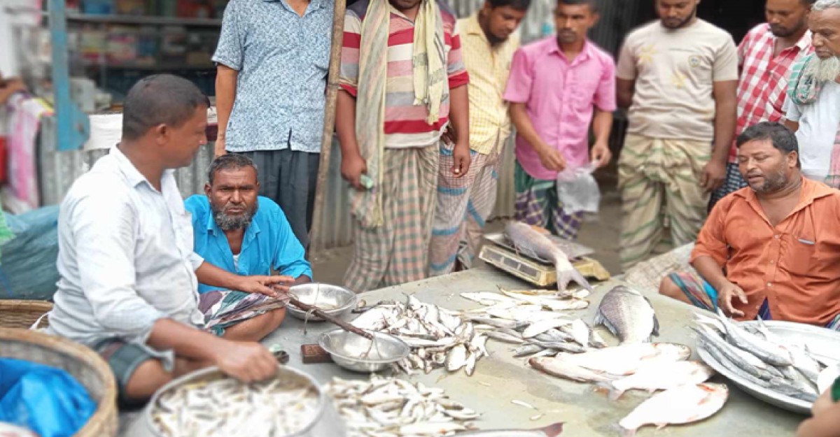 চায়না দুয়ারীর থাবায় বেড়ার হাট-বাজারে নদ-নদীর মাছে সয়লাব