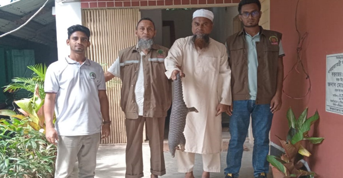 সৈকতে ভেসে আসা বিপন্ন প্রজাতির বনরুই উদ্ধার