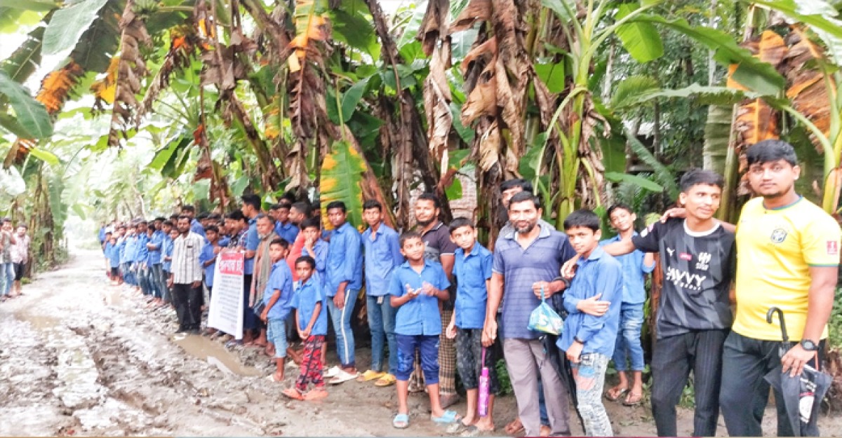 রাস্তায় কচু গাছ লাগিয়ে অভিনব প্রতিবাদ