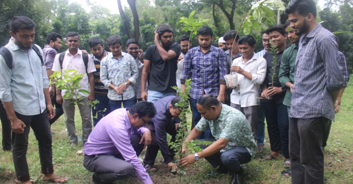 ইবি লোকপ্রশাসন বিভাগের বৃক্ষরোপণ কর্মসূচি পালন