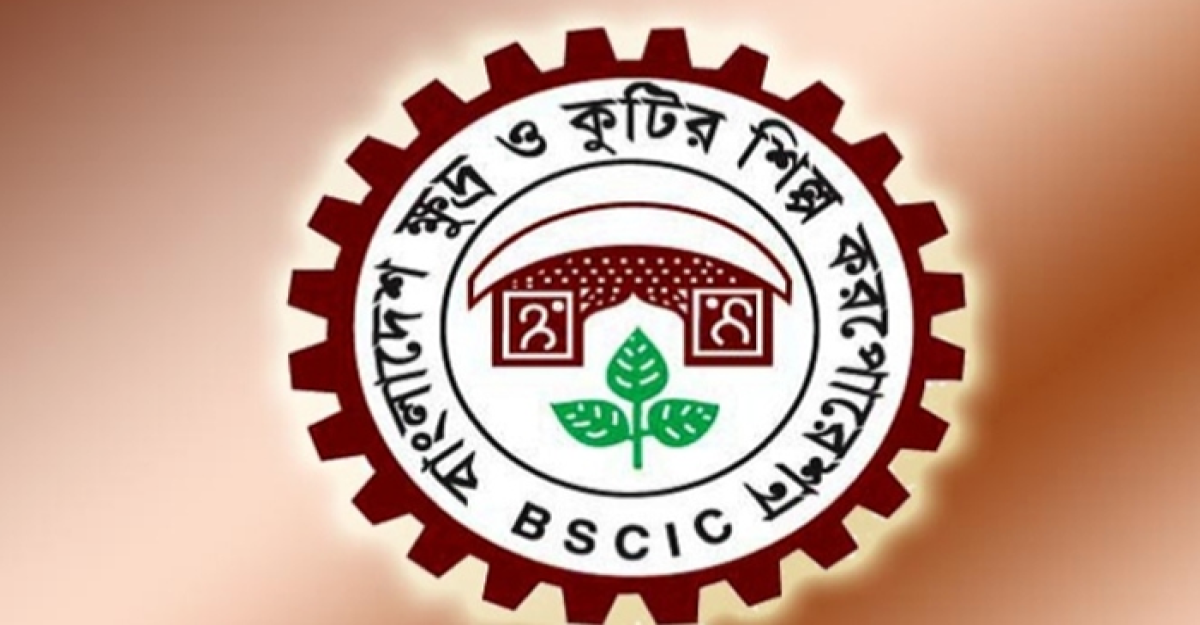 ‘ফাইন্যান্সিয়াল ম্যানেজমেন্ট’ শীর্ষক প্রশিক্ষণ দেবে বিসিক ট্রেনিং ইনস্টিটিউট