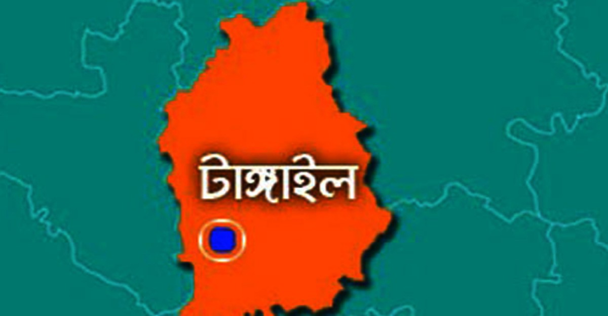 মির্জাপুরে ছুরিকাঘাতে নিহত ১