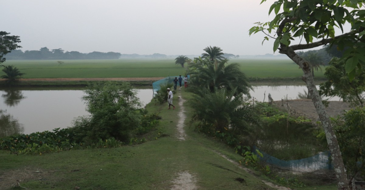 দরজায় কড়া নাড়ছে শীত