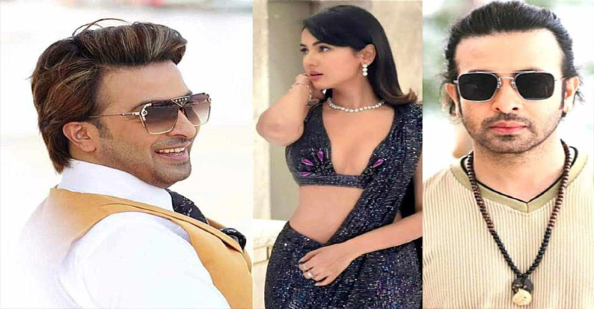 ভিসা না পাওয়ায় পিছিয়ে গেল শাকিবের ‘দরদ’!