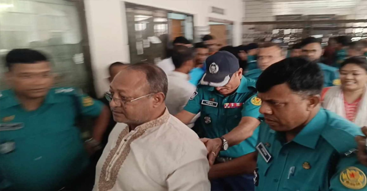 হাসান সারওয়ার্দী ৮ দিনের রিমান্ডে