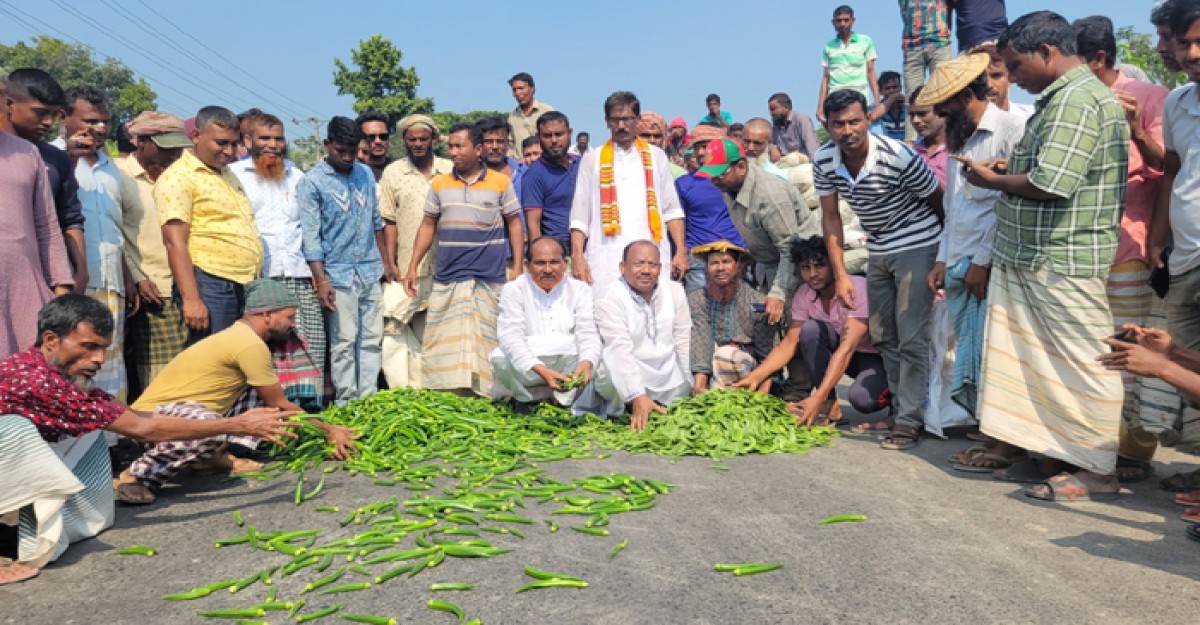 পাবনায় অবরোধবিরোধী কৃষকবন্ধন! মহাসড়কে সবজি ঢেলে প্রতিবাদ