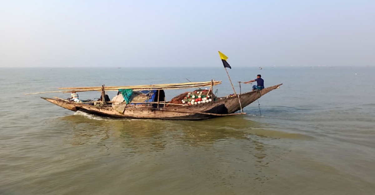 ইলিশ কম, পাঙ্গাস পাওয়ার আসায় মেঘনায় ছুটছে জেলেরা