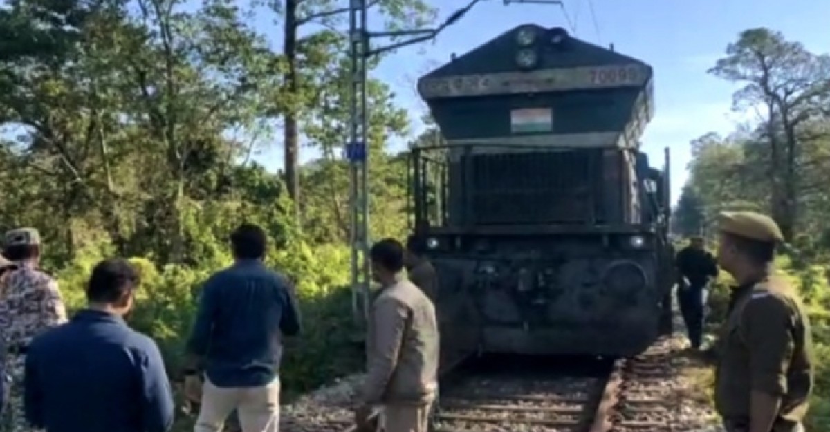 ট্রেনের ধাক্কায় ৩টি হাতির মৃত্যু