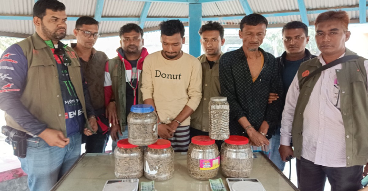 তালতলীতে বাবা-ছেলে ৩ কেজি ৩০০ গ্রাম গাঁজাসহ আটক