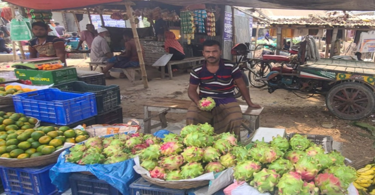 চুয়াডাঙ্গায় ড্রাগন ফলে টনি স্প্রে ব্যবহার