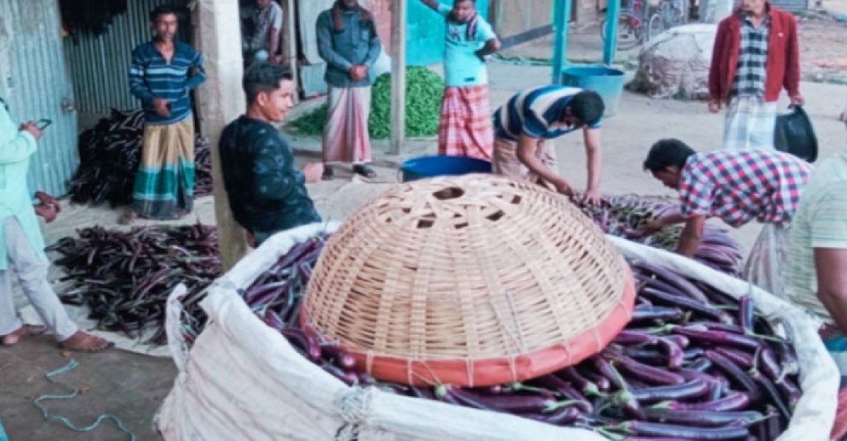 অবরোধ-হরতালে ন্যায্যমূল্য না পাওয়ায় বিপাকে চাষীরা
