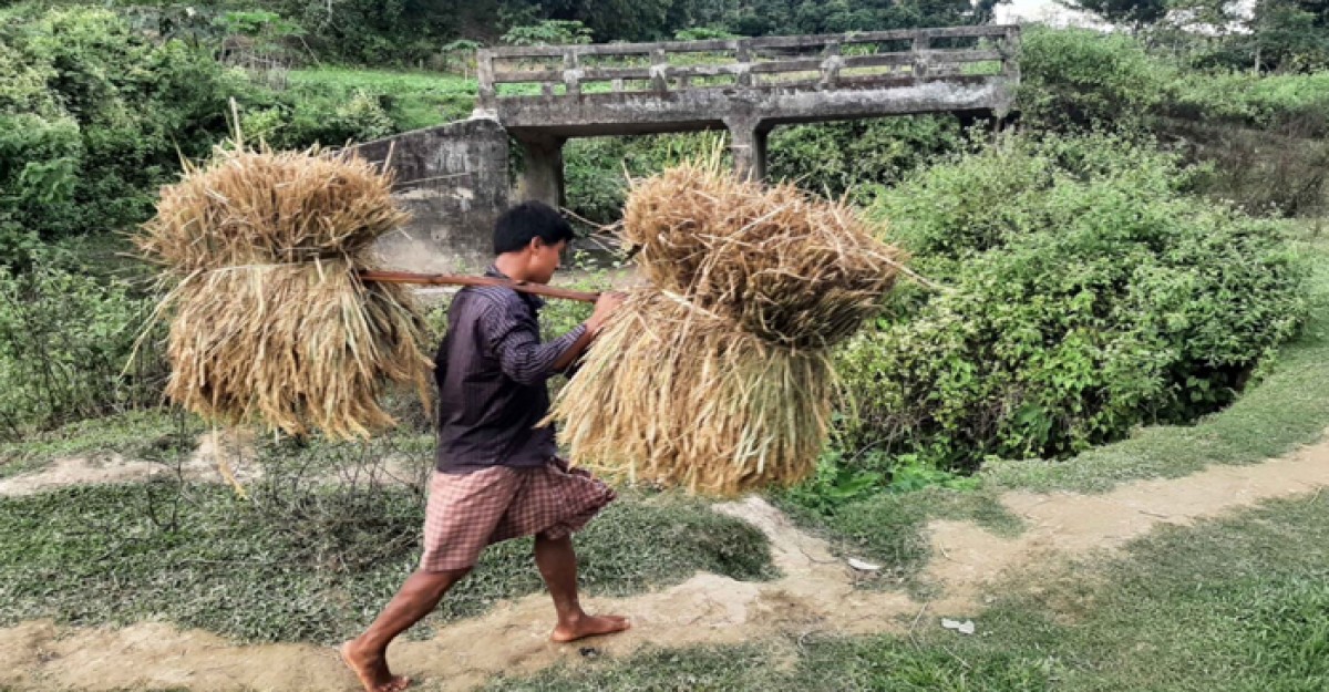 ৩ বছর অকেজো কালভার্ট, দুর্ভোগে সাত গ্রামবাসী