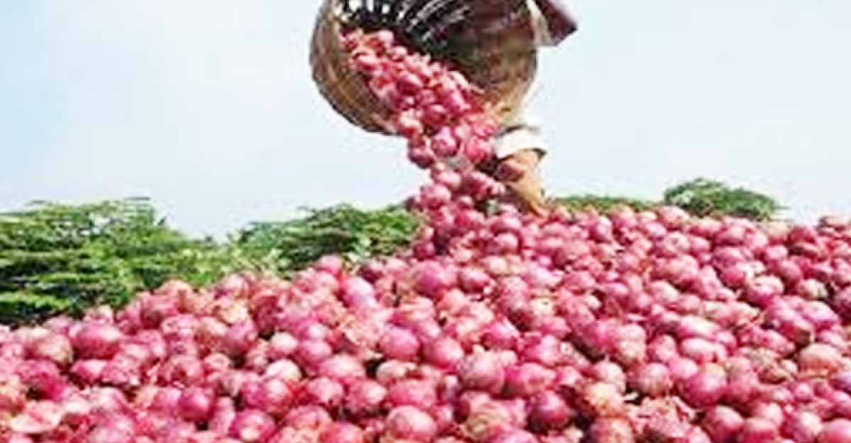 পেঁয়াজ রপ্তানি নিষিদ্ধ করেছে ভারত