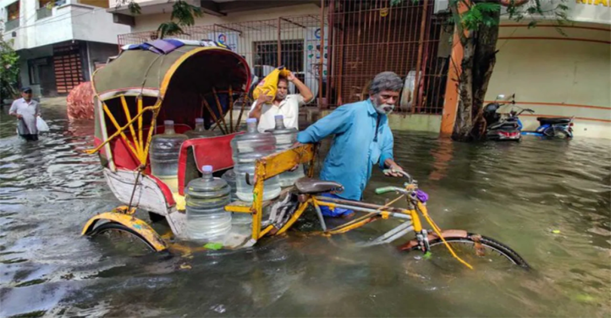 তামিলনাড়ুতে ভারী বর্ষণ ও বন্যায় স্কুল-কলেজ বন্ধ