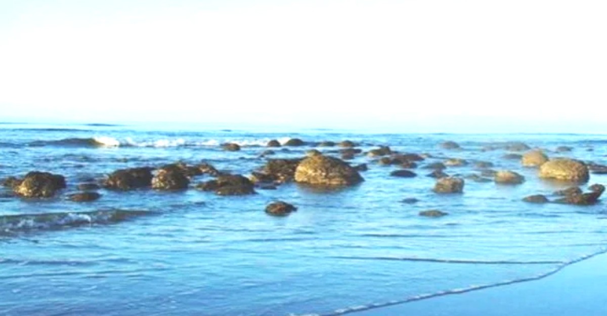 সেন্টমার্টিন ভ্রমণে গিয়ে পর্যটকের মৃত্যু