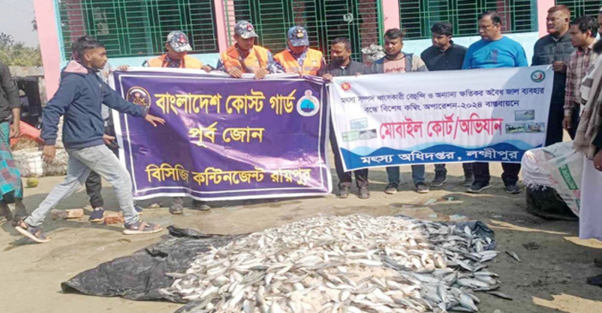 লক্ষ্মীপুরে ৮০০ কেজি জাটকা জব্দ