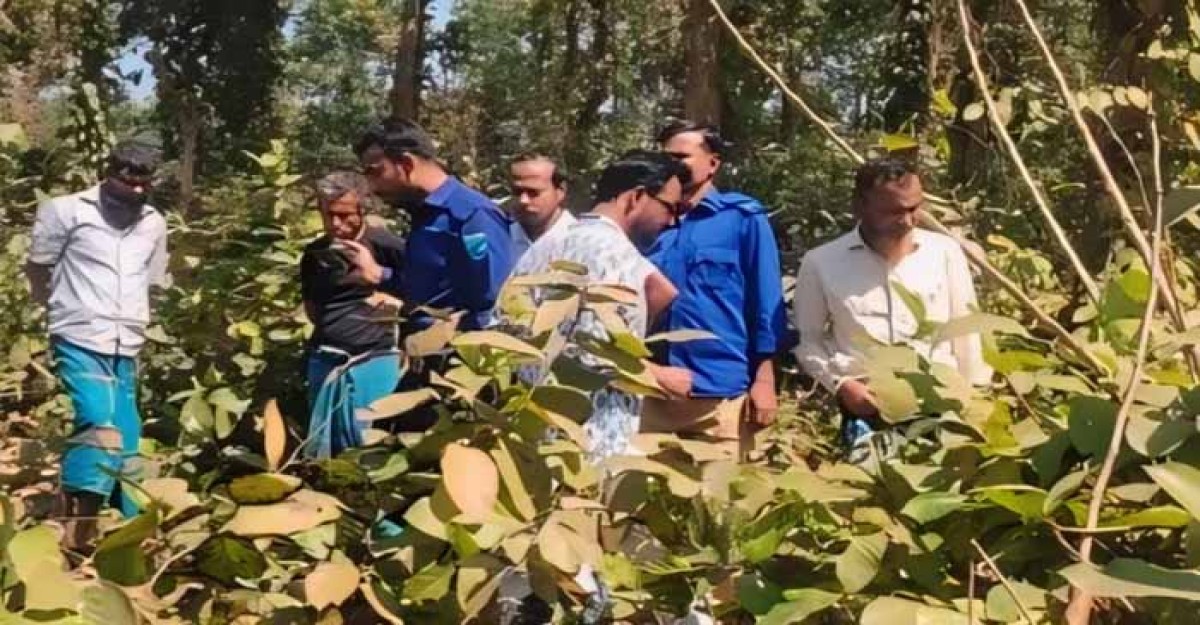 শ্রীপুরে গজারি বনের ভেতর থেকে মানব দেহের কঙ্কাল ও পোশাক উদ্ধার
