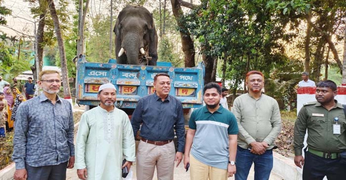 পাহাড়ের গাছ টানা হাতির আশ্রয় হলো বঙ্গবন্ধু সাফারি পার্কে