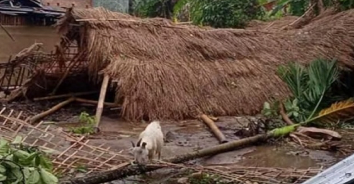আসামে বিধ্বংসী ঝড়ে বহু বাড়িঘর ক্ষতিগ্রস্ত