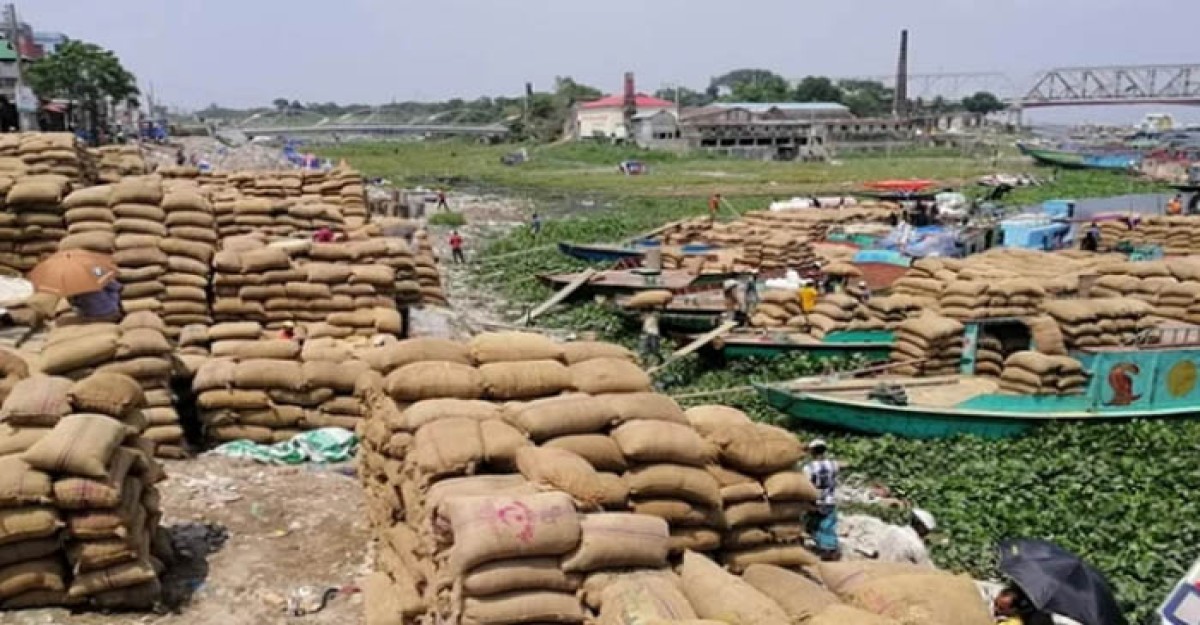 ক্রেতাশূন্য মোকাম, ধান নিয়ে বিপাকে ভৈরবের ব্যবসায়ীরা