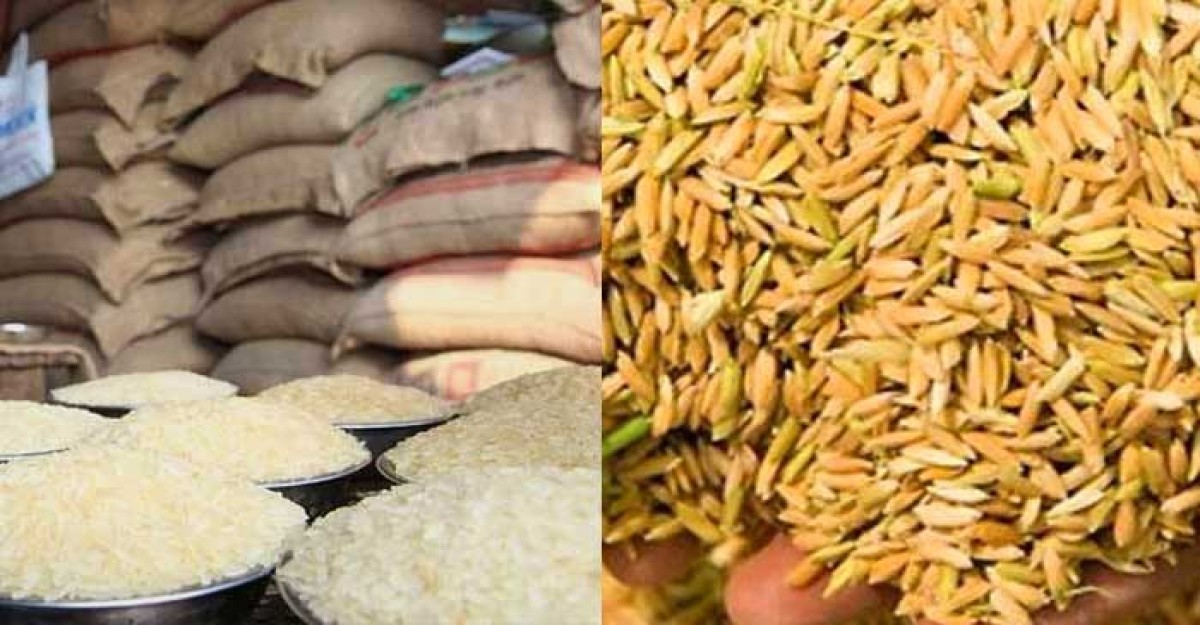 ধান-চাল কত টাকা দরে কেনা হবে, জানালেন খাদ্যমন্ত্রী