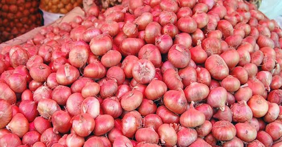 যে কারণে ভারত থেকে পিয়াজ আমদানি হচ্ছে না