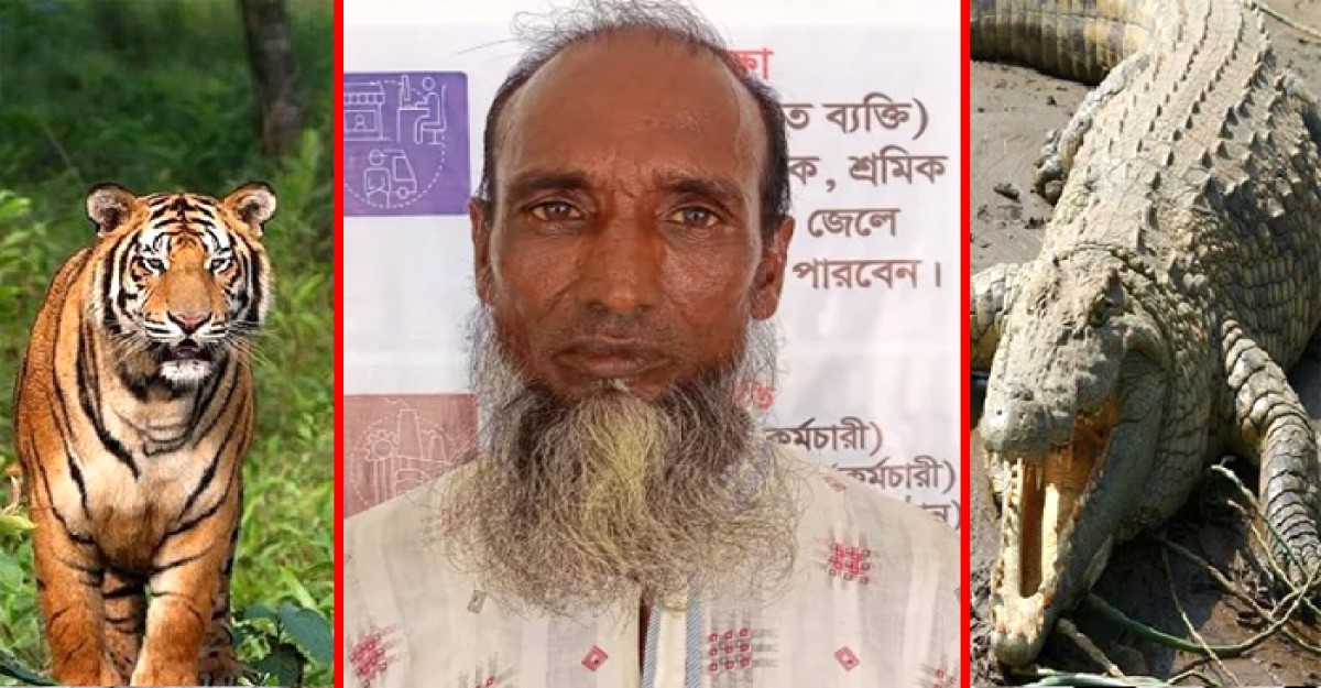 বাঘের পর এবার কুমিরের মুখ থেকে বেঁচে ফিরলেন মৌয়াল কুদ্দুস