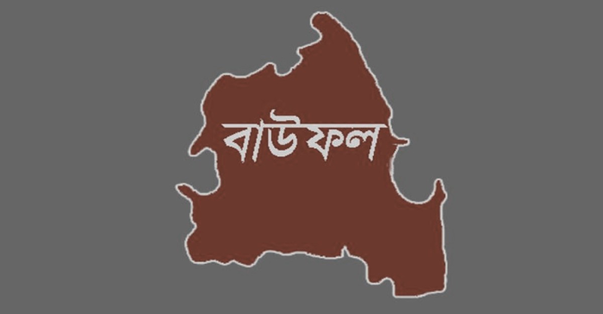 বাউফলে নির্বাচনী সহিংসতা, ইউপি সদস্যকে কুপিয়ে জখম