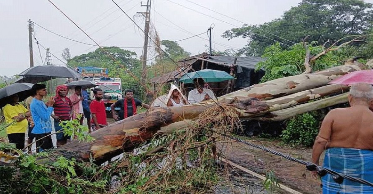রেমালের তাণ্ডবে সারাদেশে প্রাণ গেল ২১ জনের