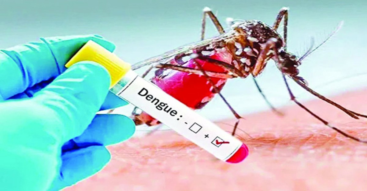 ডেঙ্গুতে আরও একজনের প্রাণহানি