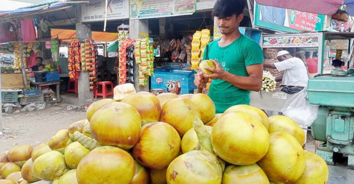 প্রচন্ড গরমে কালীগঞ্জে বেড়েছে তালের শাঁসের চাহিদা