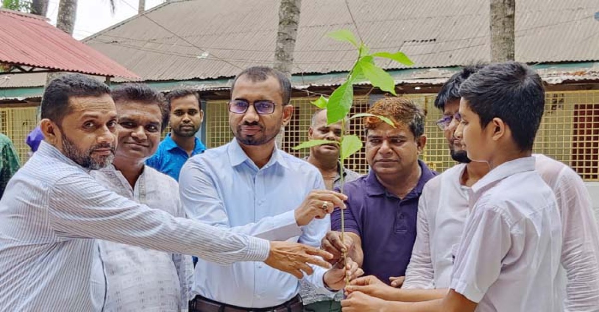 সদরপুরে বিনামূল্যে ১০ হাজার গাছের চারা বিতরণ